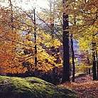 Autumn Ticino