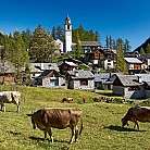 Bosco Gurin Vallemaggia Photo Swiss Image Christof Sonderegger